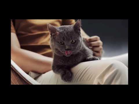 Eyes on Display (EoD) на Huawei, представена с Mate 40 на 22 октомври 2020г.