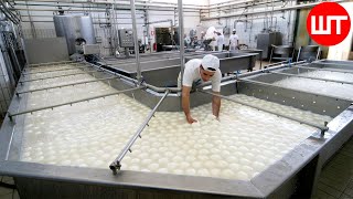 How Fresh Mozzarella Is Made | The Process of Making Cheese From Buffalo Milk 🧀 Cheese Factory