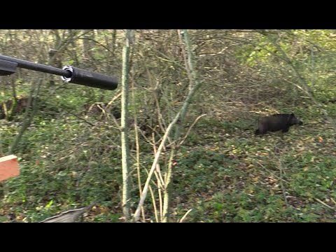 Traumdrückjagd 2019 - Trailer - Hunter Brothers