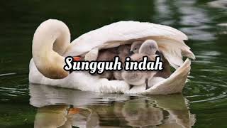 SUNGGUH INDAH BY ROBERT DAN LEA SUTANTO | VIDEO LIRIK LAGU ROHANI