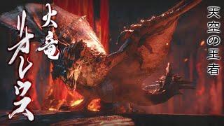 モンハンの顔を背負わされている王者【モンスターハンターライズ】【ゲーム実況】