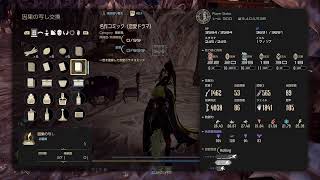 野郎のコードヴェイン2　DLC