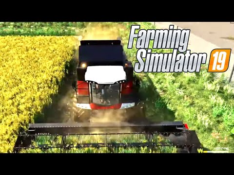 FS19 Risaie Del Nord #3 - SI PARTE CON LA PRIMA RACCOLTA DEL RISO w/Miticaccio - GAMEPLAY ITA