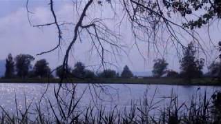 *Nara Leão  -   *Amor nas estrelas.*