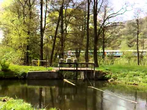 ČD 560 projíždí mezi stanicí Rajec Jestřebí a Doubravice N. Svit.