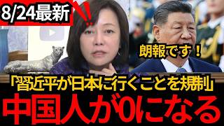 [日本保守党]※朗報！習近平が日本に行くことを規制！中国の狙いを教えます！[百田尚樹 有本香 北村晴男]