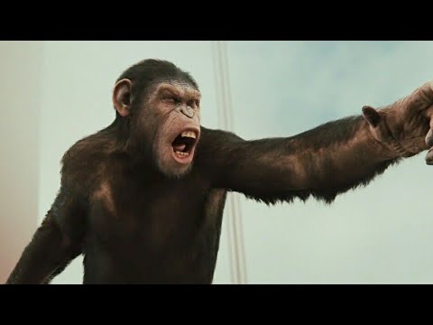 El Planeta de los Simios: (R)Evolución (2011) - Escena del Puente Parte 2 [Español Latino]