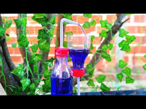 Fazendo fonte de água sem eletricidade com garrafa pet - Passo a passo!