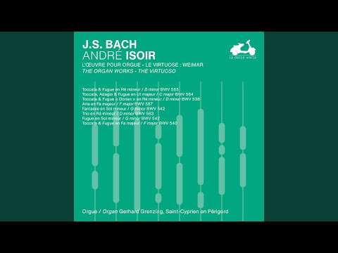 Toccata and Fugue in D Minor "Dorian", BWV 538: I. Toccata