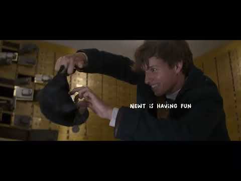 teddy the niffler being a nuisance for 4 minutes straight