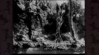 Son of Kong (1933) Video