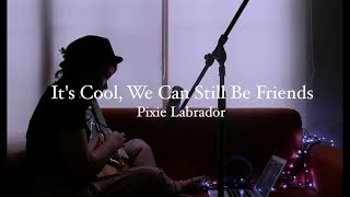 Bright Eyes - It&#39;s Cool, We Can Still Be Friends (Cover) | Pixie Labrador