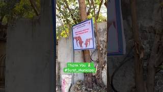 Dog feeding zone in surat 🐕 #dogfeeding #dogshorts #surat