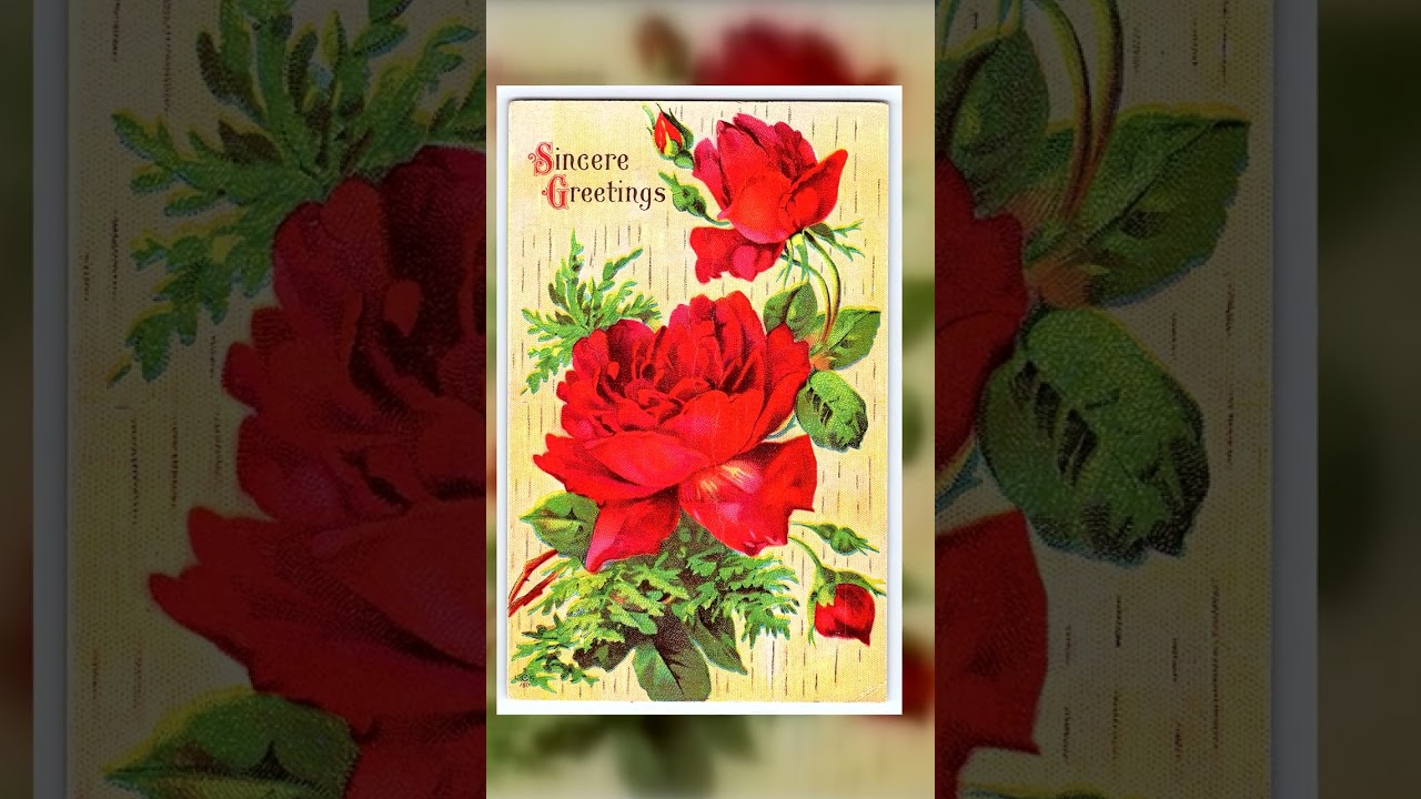 Sincere Greetings, Linen Postcard, Red Roses, Early 1940s Video