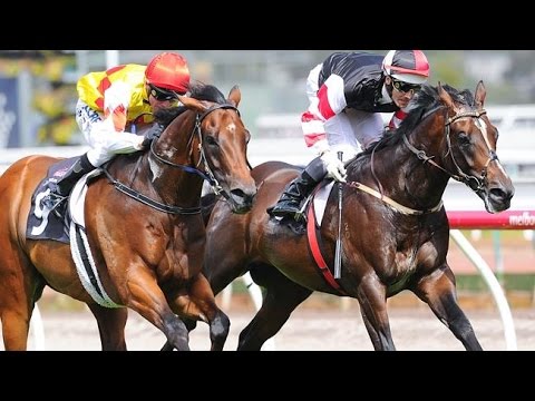 STANDISH HANDICAP-1 JAN FLEMINGTON