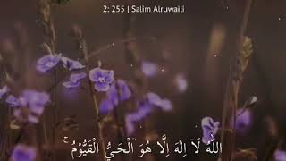Download lagu Story WA Lantunan Ayat Suci Al-Quran Bikin Sejuk Hati || WhatsApp Story mp3 Download lagu Story WA Lantunan Ayat Suci Al-Quran Bikin Sejuk Hati || WhatsApp Story mp3