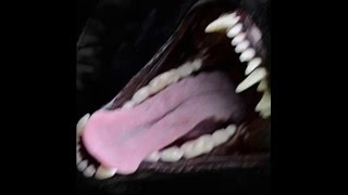 Max Wonders - Wonda de' wonda freestyle (prod. oddCouple)