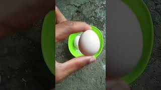 Download lagu telur ayam kampung vs telur ayam kate mp3
