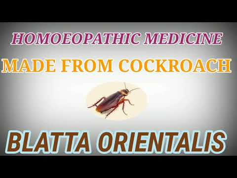 Blatta orientalis | Homoeopathic medicine | Asthma sp.