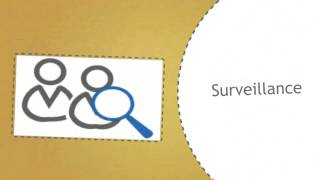 Work Examiner video