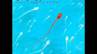 PFM - Uno in più (Ulisse - 1997)