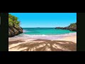 Indian Beach Moving Goa Beautiful Nature