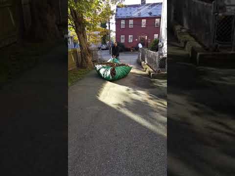 How to pull a tarp full of leaves Hack