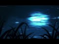 Clara La San Another Night Slowed Reverb