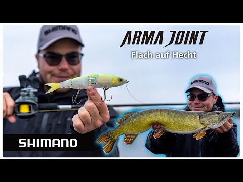 Hechtangeln im Winter: Bantam Armajoint 190SF in Action