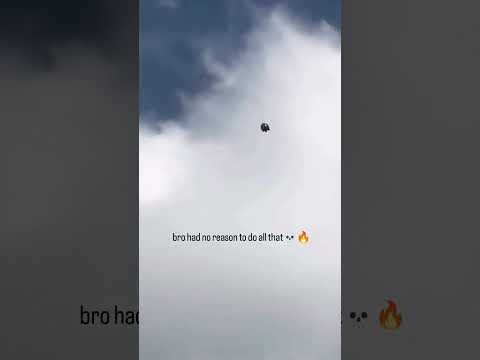 Incredible Roller Pigeon Backflips in Mid-Air! #shorts #nature #birds  #pigeon