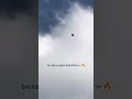 Incredible Roller Pigeon Backflips in Mid-Air! #shorts #nature #birds  #pigeon