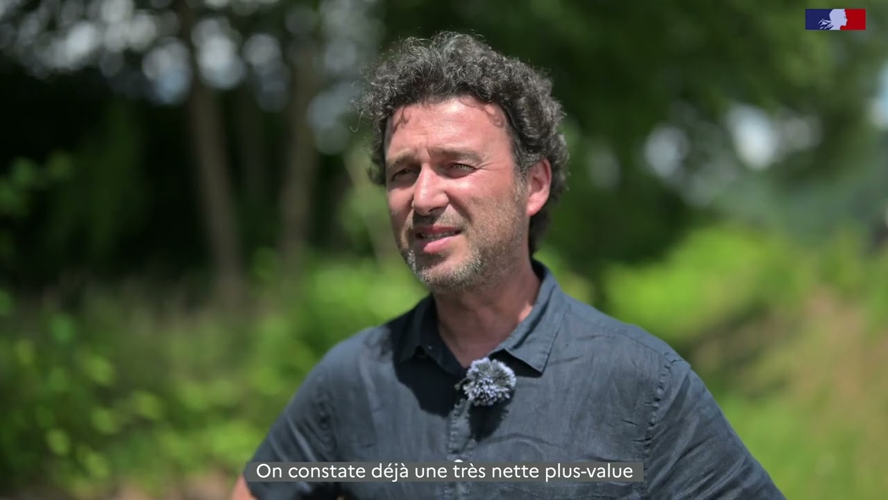 Image d'illustration de la vidéo