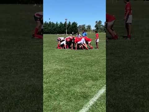 pampas rufino santa fe