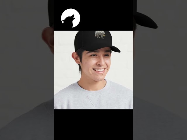 Placeholder image for video