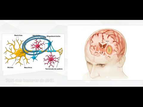 João Victor Krüger Pinto (28º SIC UFSC)