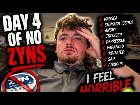Quitting Zyn Reddit