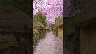 Download lagu Most Beautiful Places in South Korea mp3