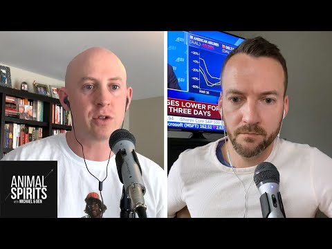The Video Heard Round the World | Animal Spirits Episode 138