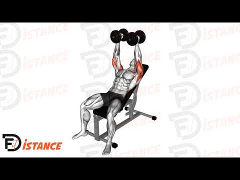 Exercice Développé incliné avec haltères en prise marteau