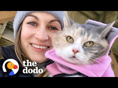 Woman Adopts Her Grandparent’s Grumpy Cat And Then Has The Best Idea | The Dodo Heroes