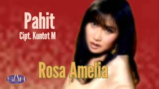 Download lagu ROSA AMELIA - PAHIT mp3 Download lagu ROSA AMELIA - PAHIT mp3