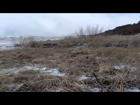 Wind 20 m/s Z , dachshund surprise