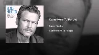 Blake Shelton - Came Here To Forget