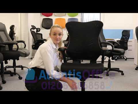 Spine Mesh Executive Office Chair