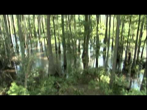 Excerpts from the film "Desperate Escape"