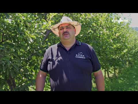 Tehnologie pomi fructiferi SCDP Voinești, județul Dâmbovița