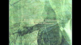 Beyond Sensory Experience - Pursuit of pleasure