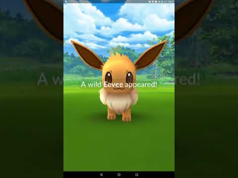 LOVÍME POKÉMONY  #1