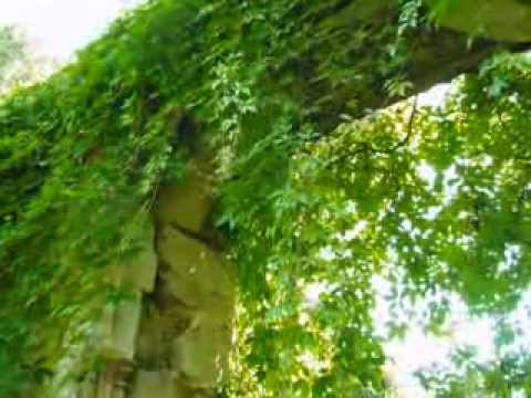 Clare Priory, Suffolk (music by Marisa Robles)