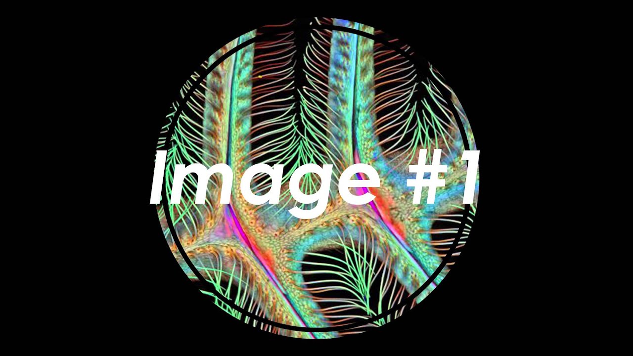 Image #1 - Soundscape